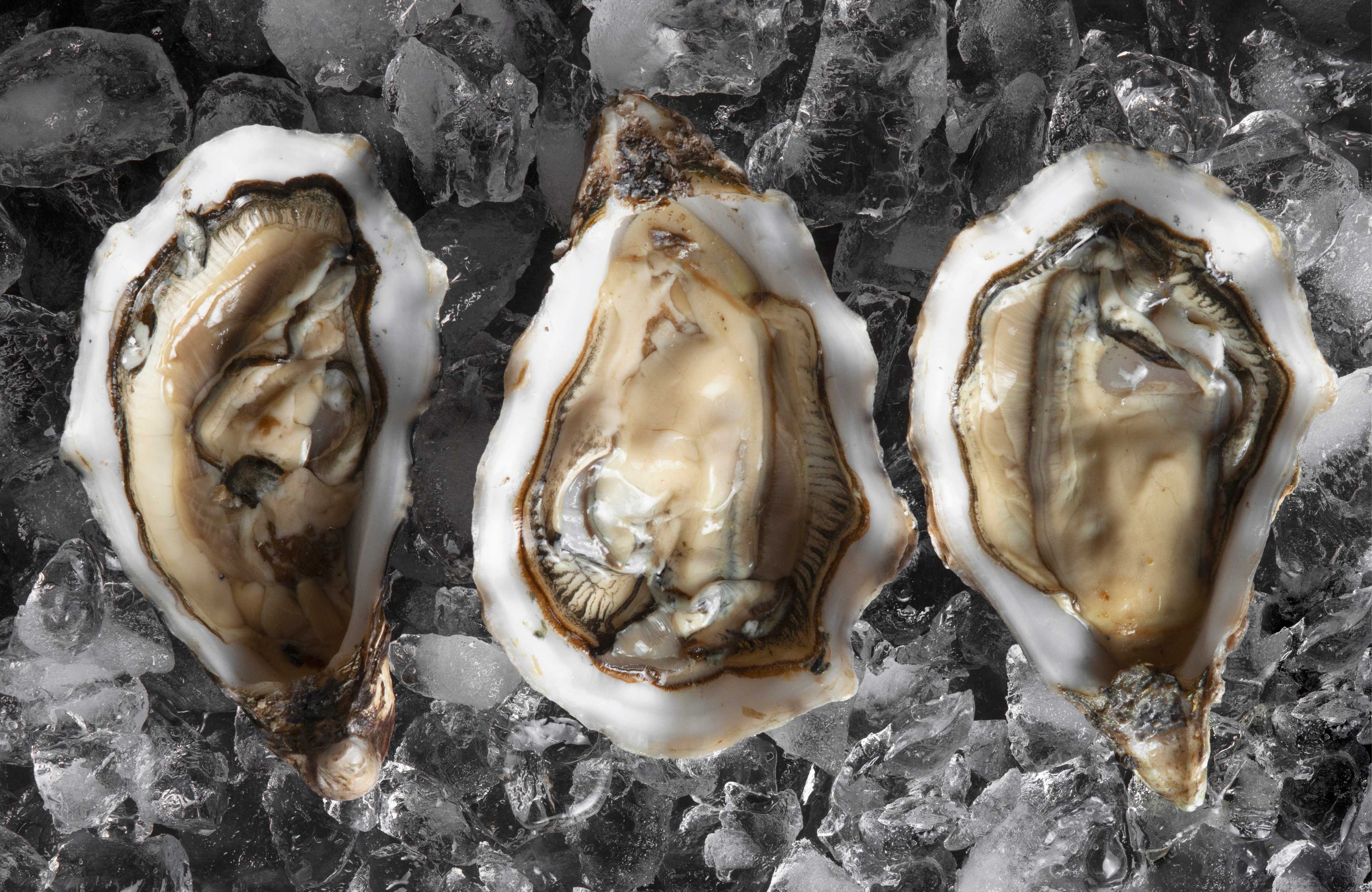 擁有豐富鋅的蠔精早已被用在拯救雄風多年